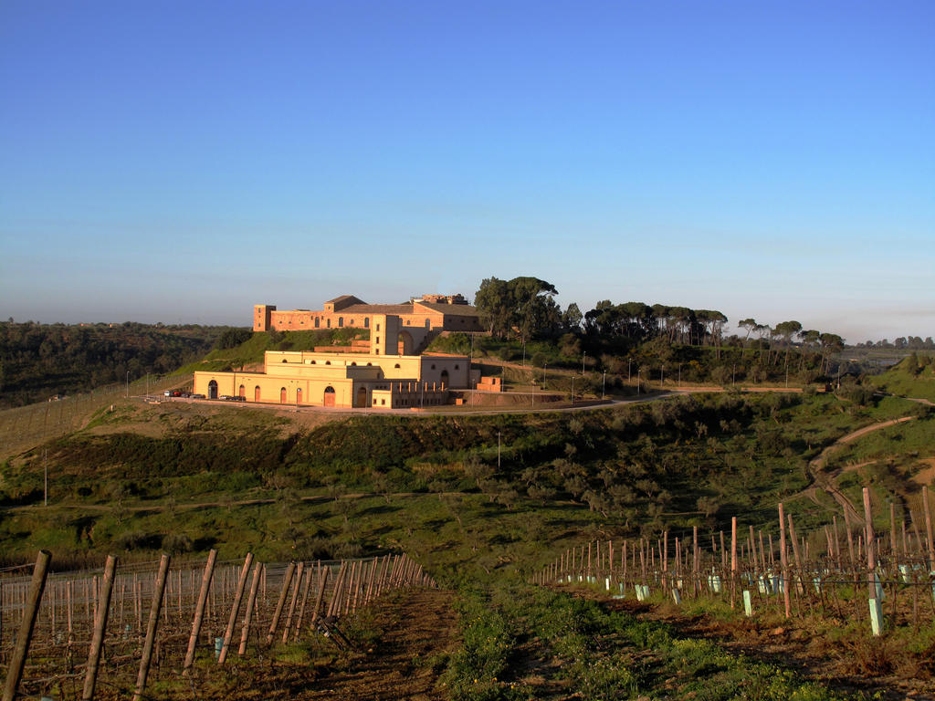 Villa Wine Relais Feudi Del Pisciotto Niscemi Exterior foto